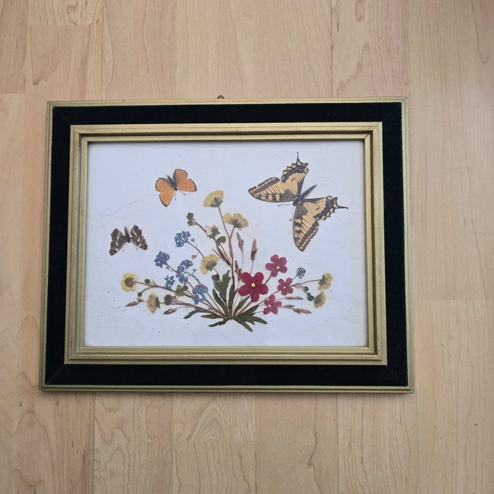 Vintage Framed Pressed Flower Butterfly Art Gold Black Velvet Border Wall Decor